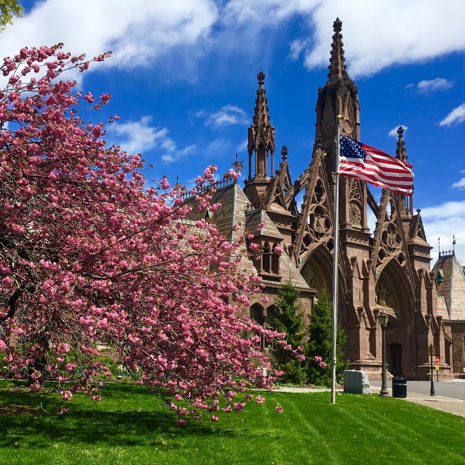 Cherry blossom tree in front of a Gothic-style building with an American flag
