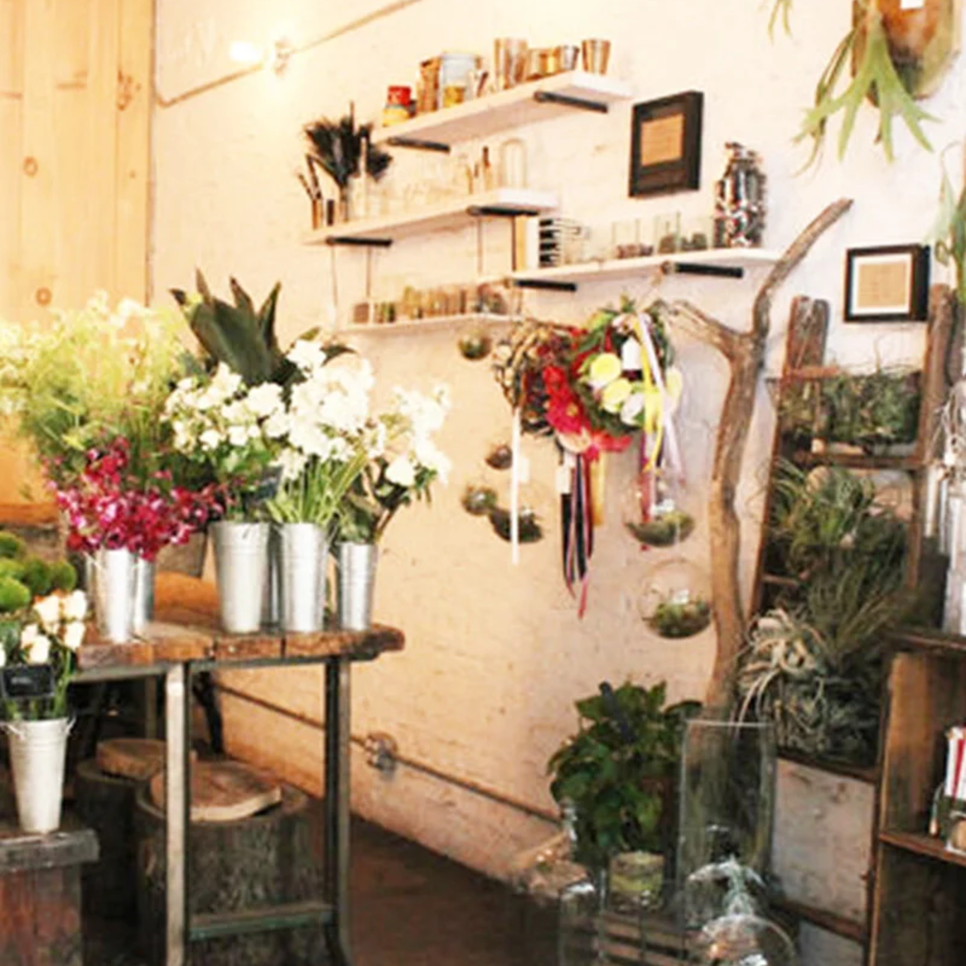 Cozy flower shop interior with buckets of fresh flowers, hanging terrariums, and rustic wooden table