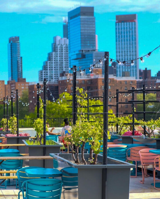 Rooftop Reds