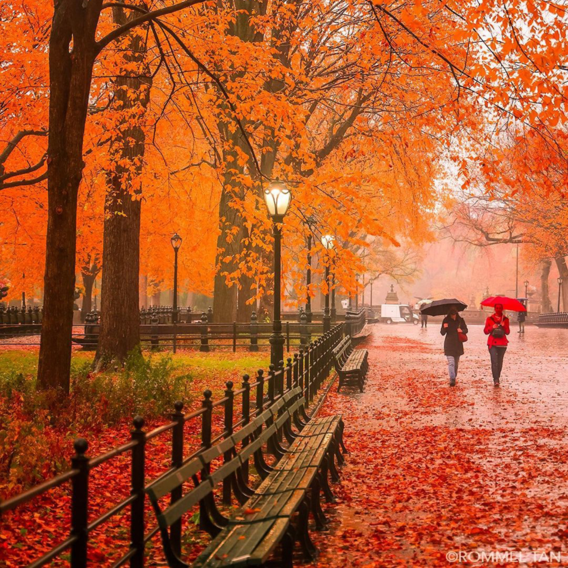 Packing Smart for New York City in Autumn