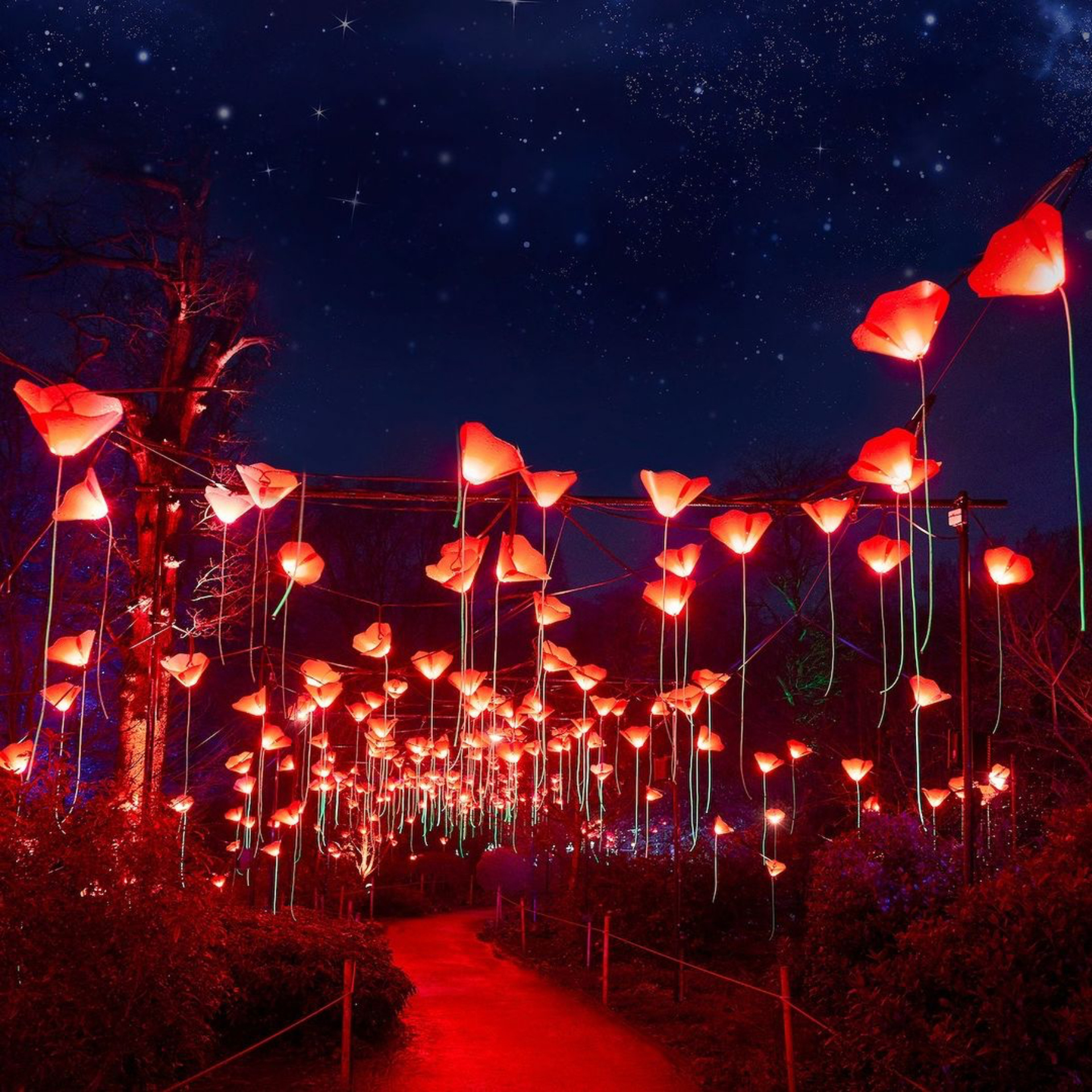 Memorable Ways to Immerse Yourself in New York City