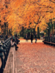 It is November in New York City