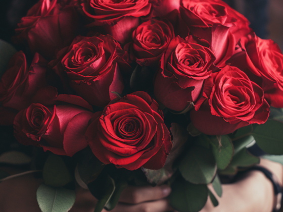 Greg's Roses