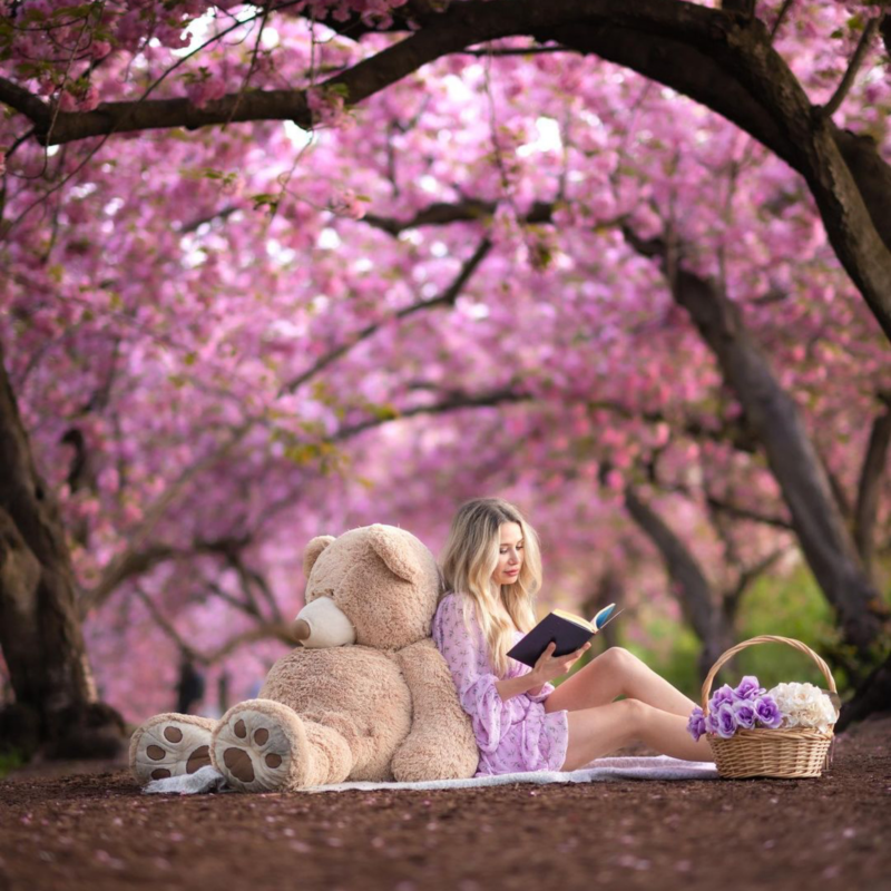 Cherry Blossoms Bloom in New York City .png