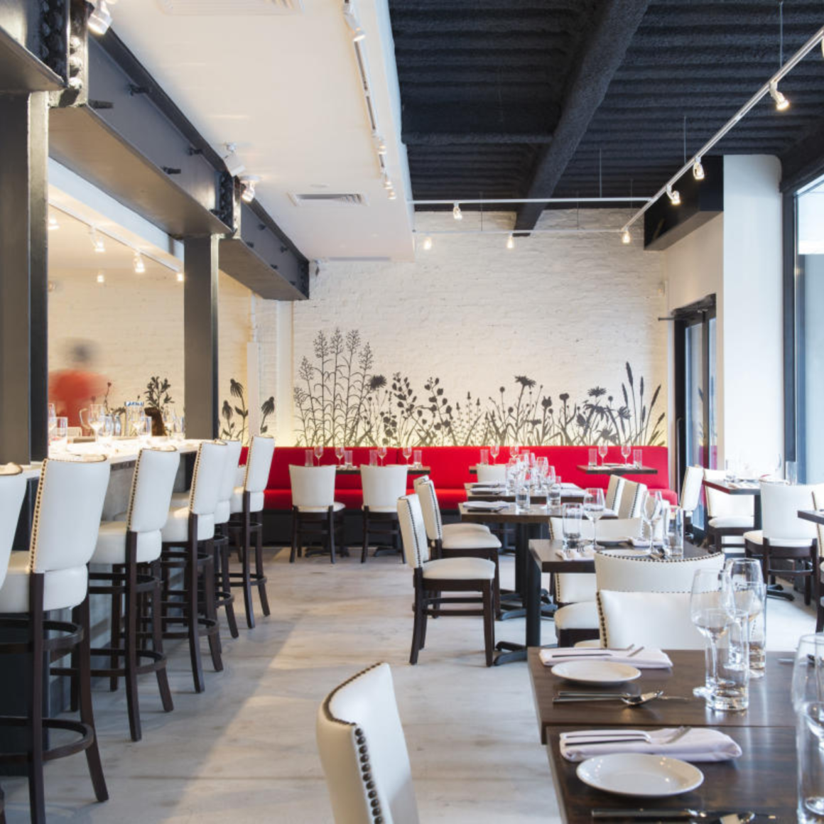 Plant-based cuisine in NYC