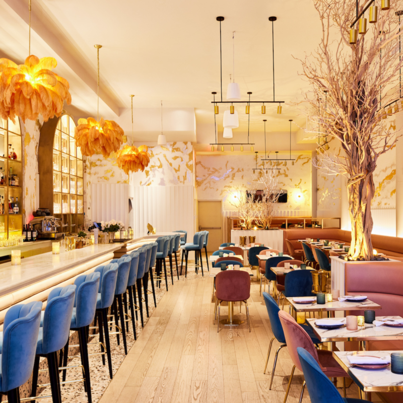 Women-Owned Restaurants in NYC