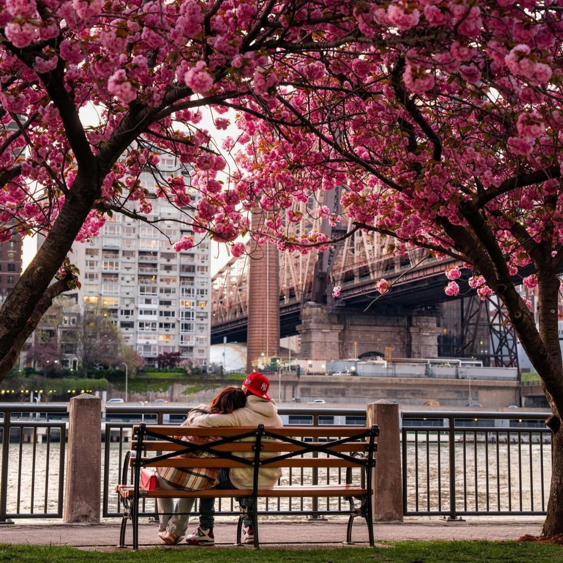 May in New York City