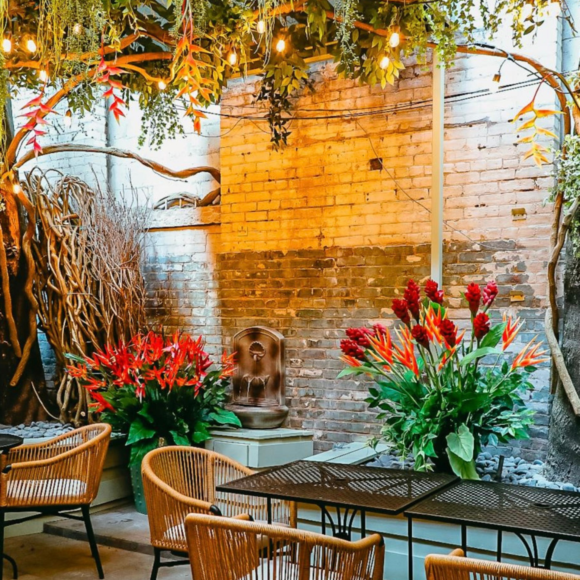 Newly Opened Spots in NYC