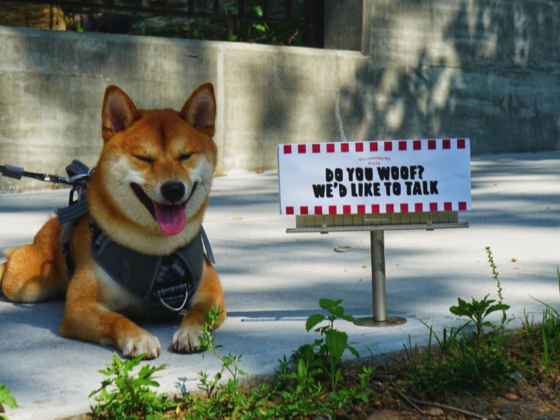 Williamsburg Pizza LES