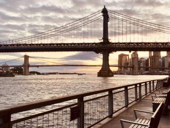 Things to Do in NYC in August