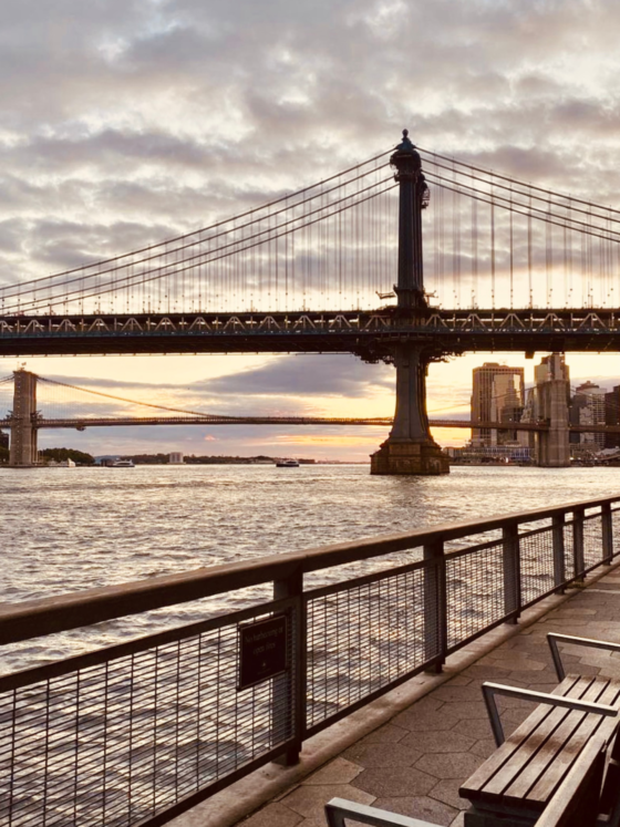 Things to Do in NYC in August