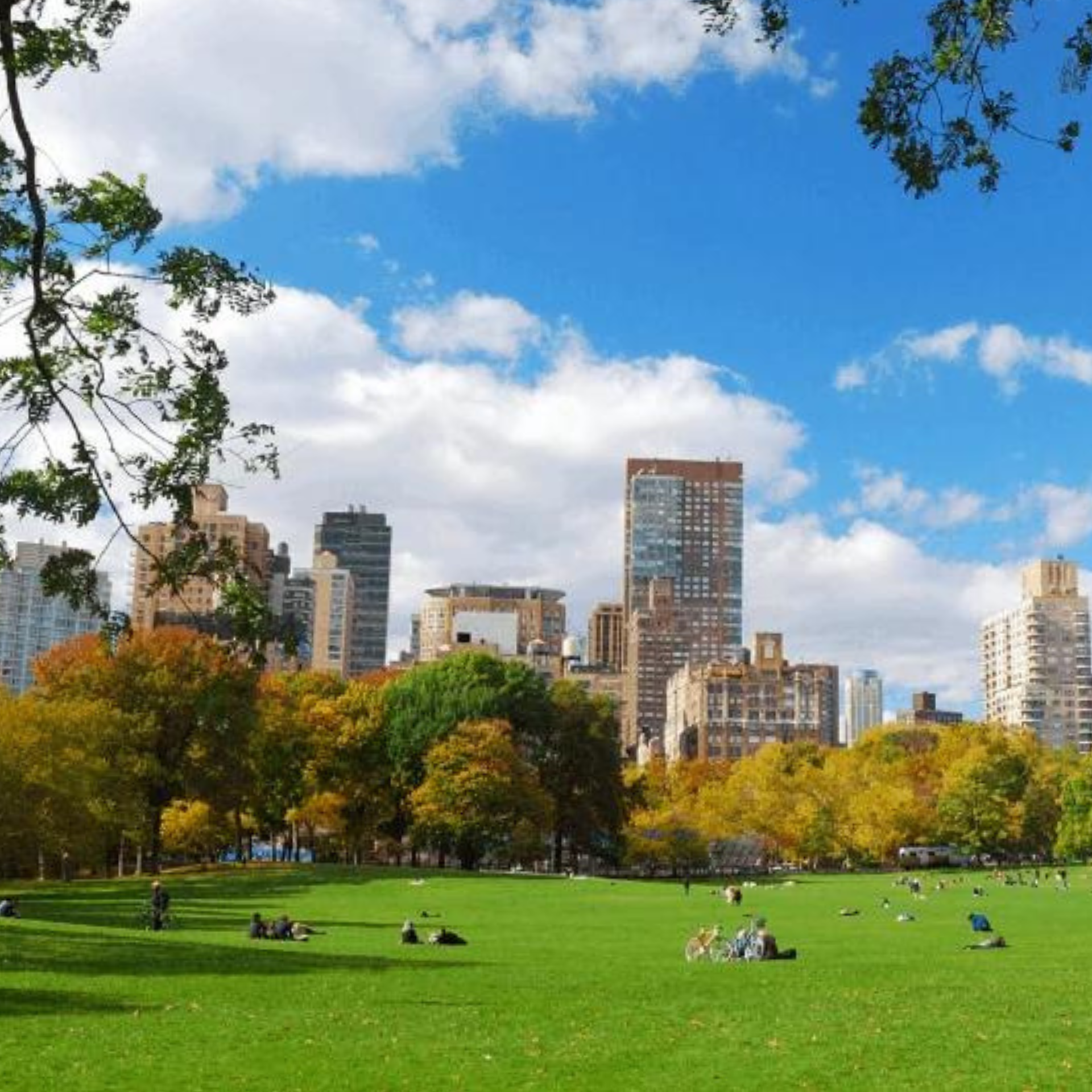 July 2024 in NYC