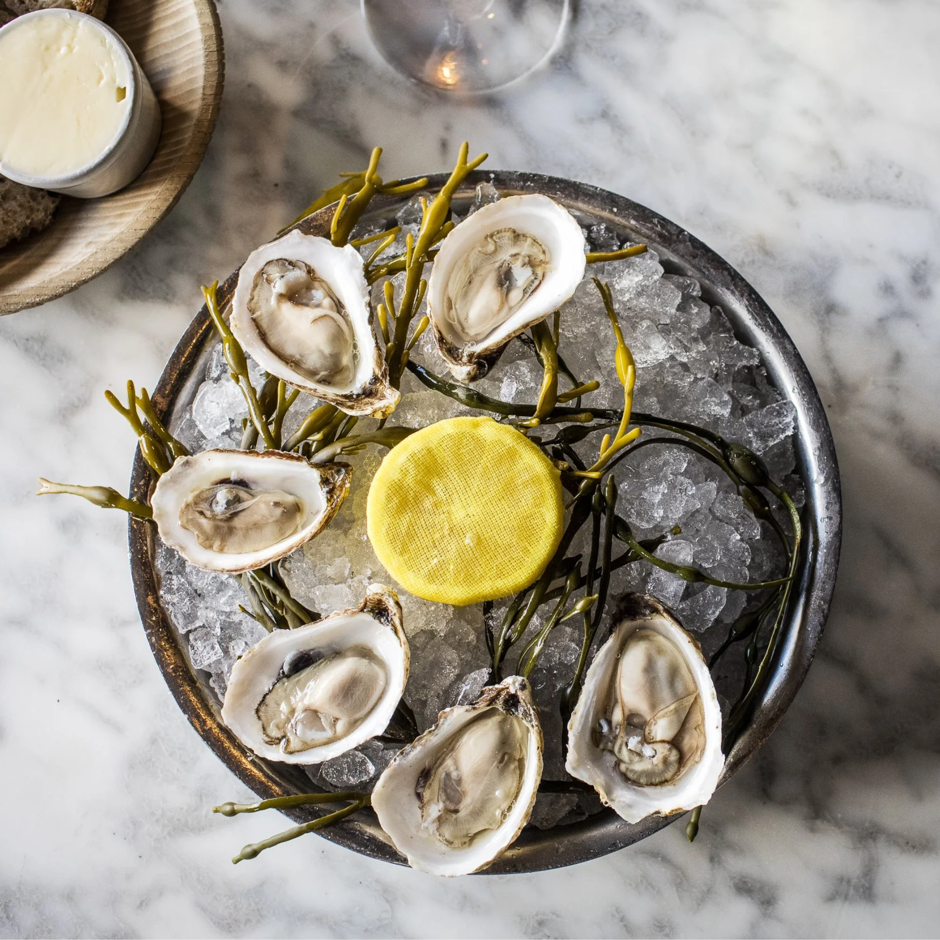 Plate of fresh NYC oysters on crushed ice with lemon and seaweed garnish, marble table setting with bread and butter, elegant seafood dining featured in daily things to do in NYC any day