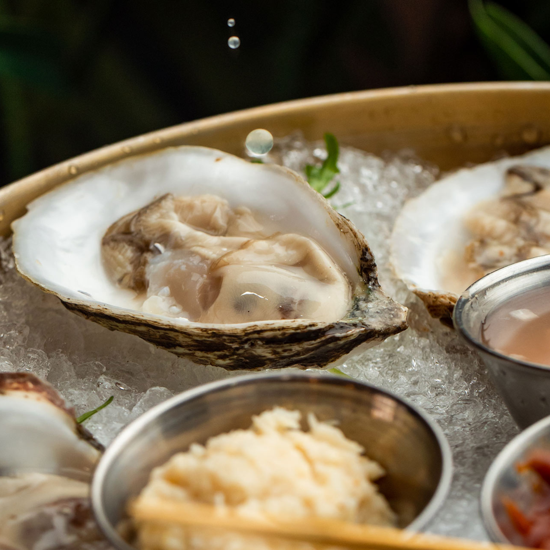 Close‑up of freshly shucked NYC oyster on ice with condiments and droplet captured mid‑air, seafood dining detail featured in daily things to do in NYC any day