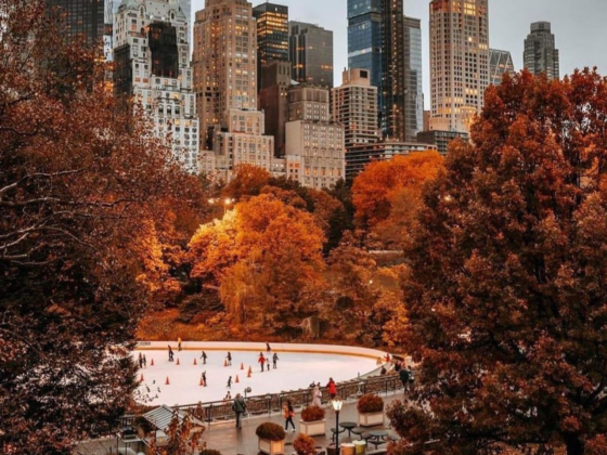 NYC Events in October 2024