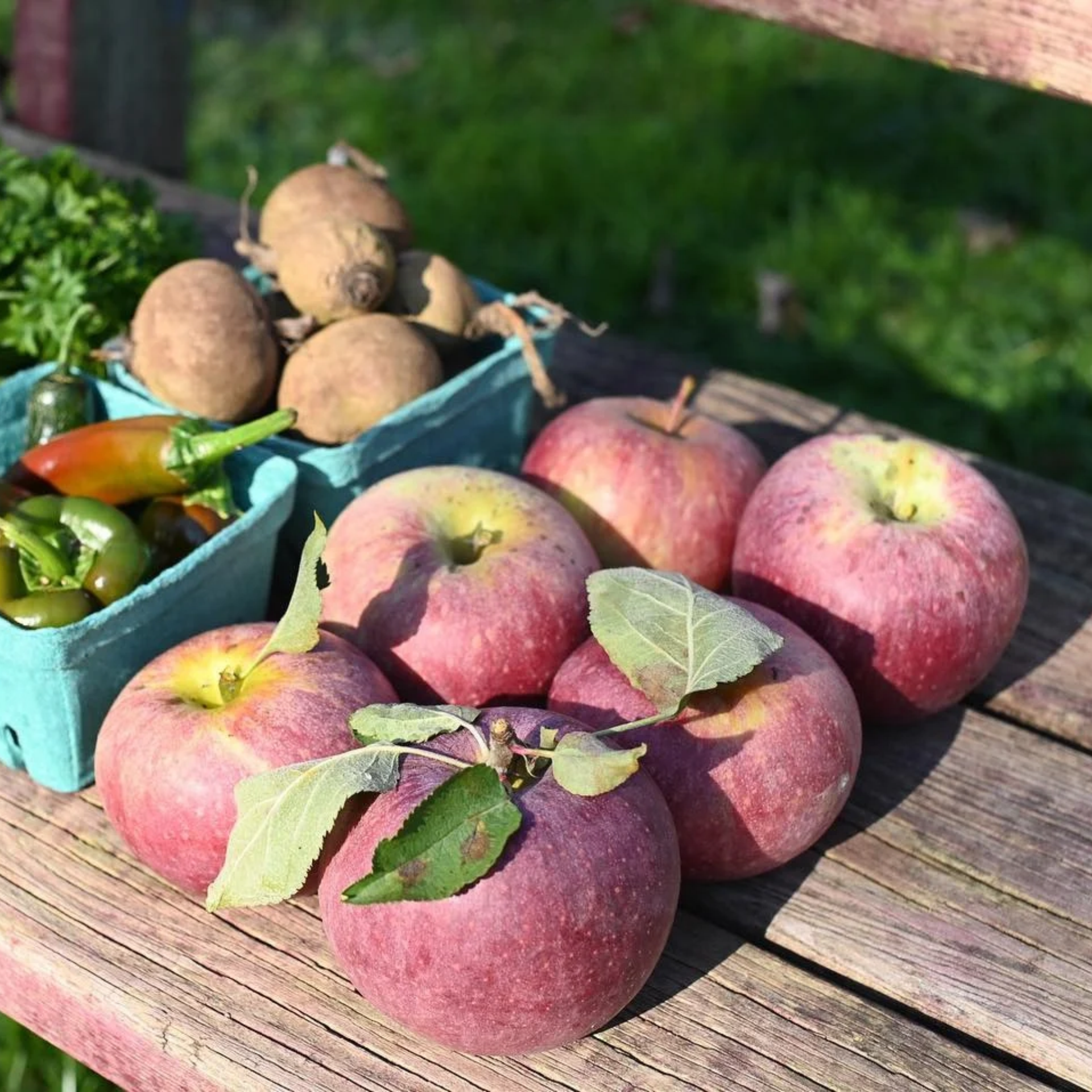 Apple Picking Near NYC: Apples, potatoes, and chili peppers on wooden surface outdoors