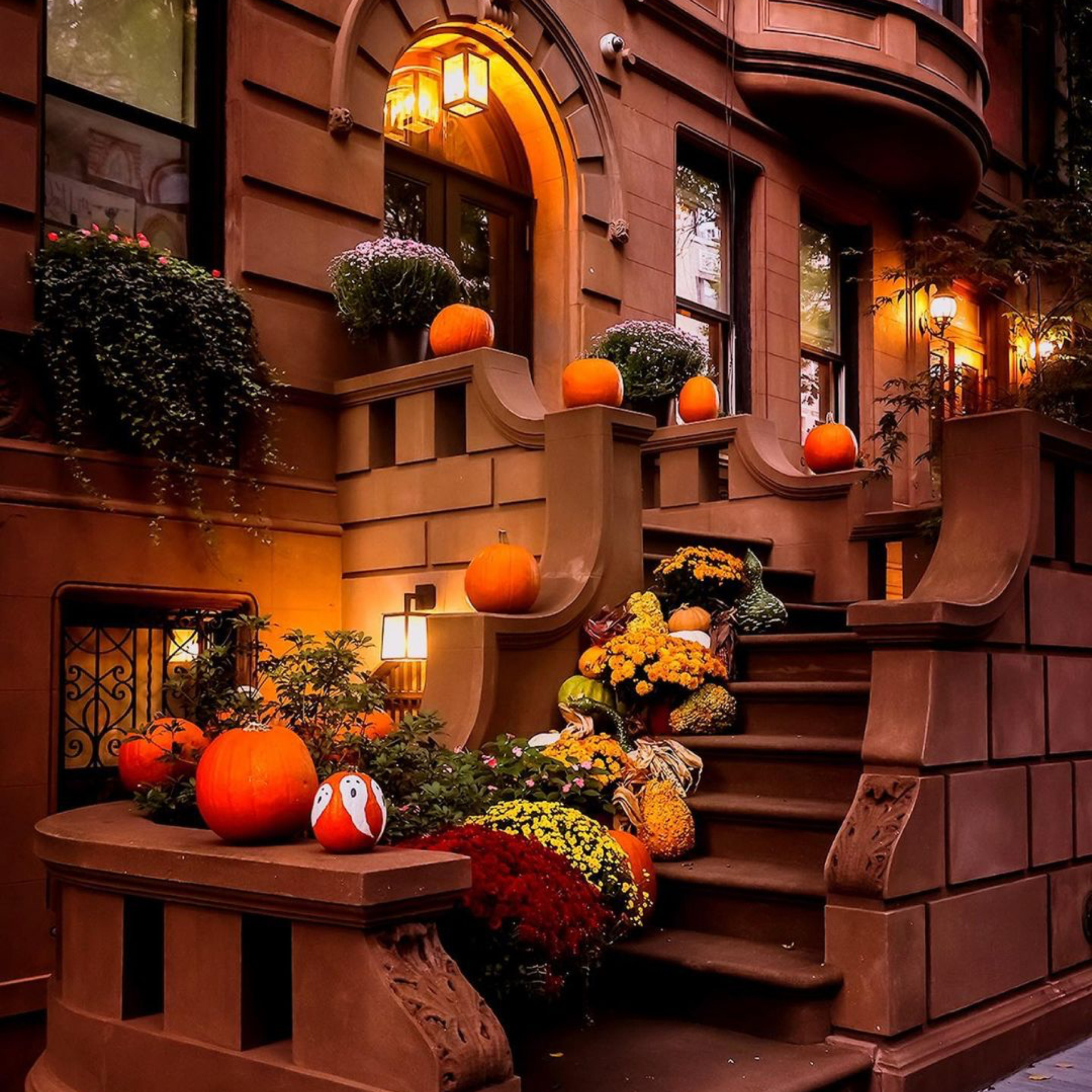 October 2024 in NYC