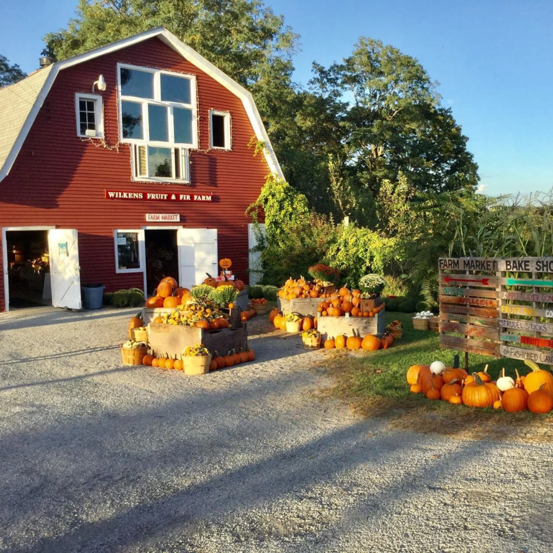 Apple Picking Near NYC: Red barn farm market with pumpkins and seasonal produce display
