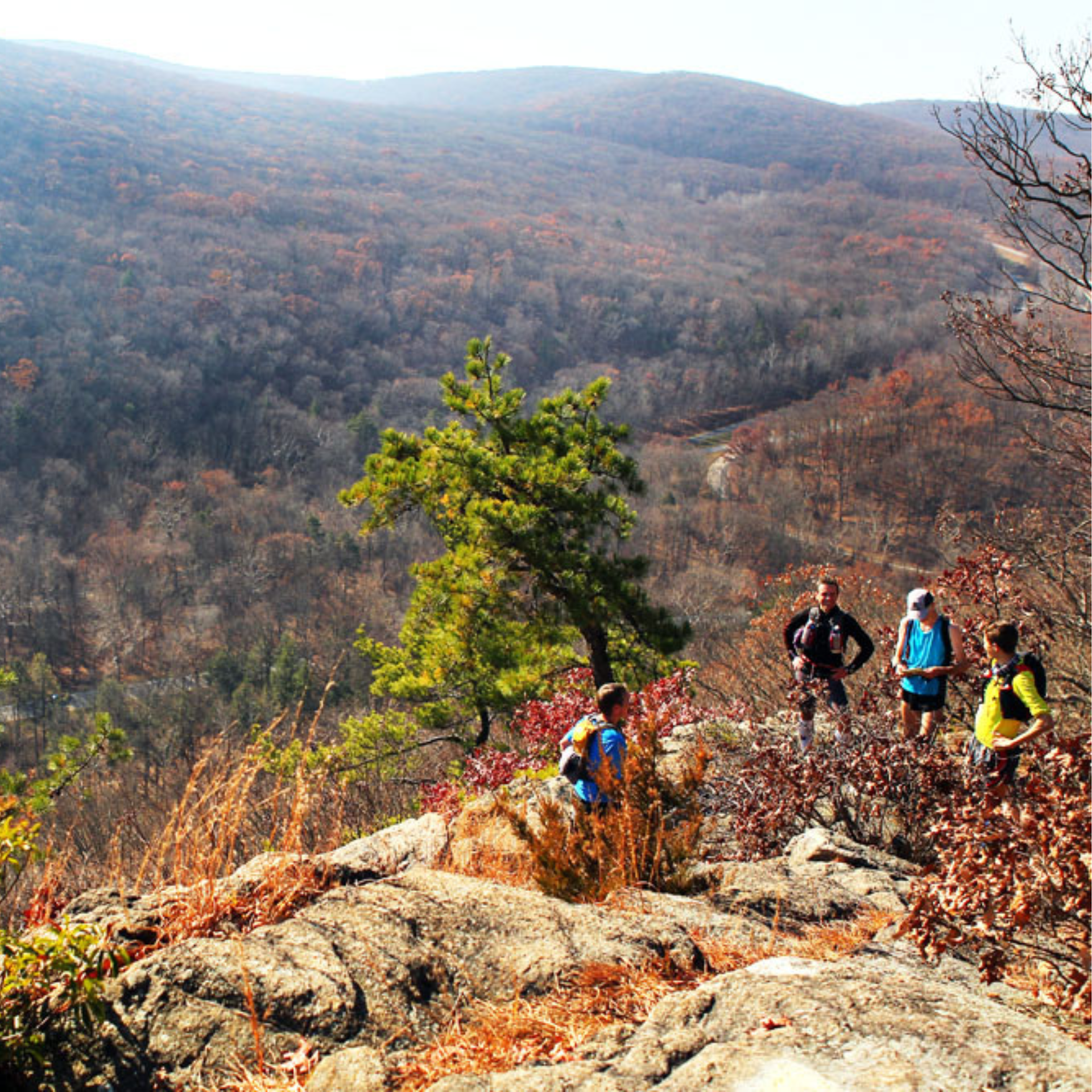 Four hikers on rocky outcrop overlooking autumn forest hills