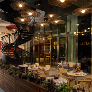 Dacta Bird  in Brooklyn, NY