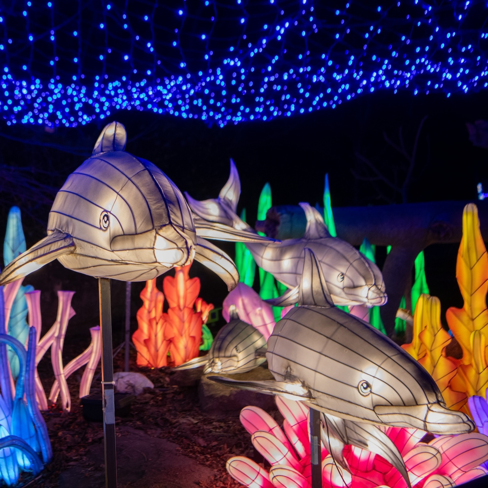 Illuminated dolphin lanterns swim through a sea of glowing coral and blue overhead lights in a vibrant underwater-themed art installation