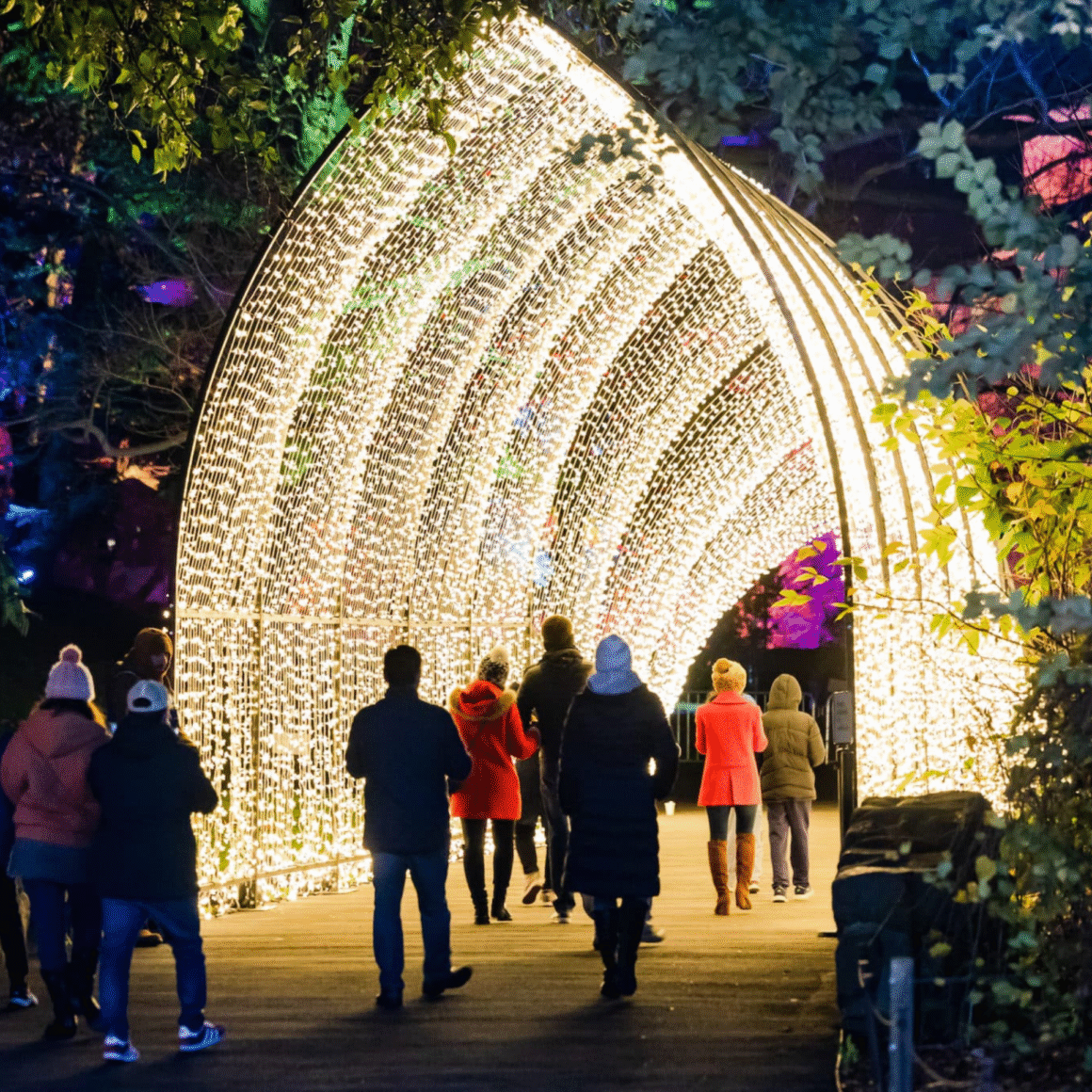 Visitors walk through a glowing tunnel of white holiday lights surrounded by trees, bundled in winter clothing as they enjoy a festive nighttime display