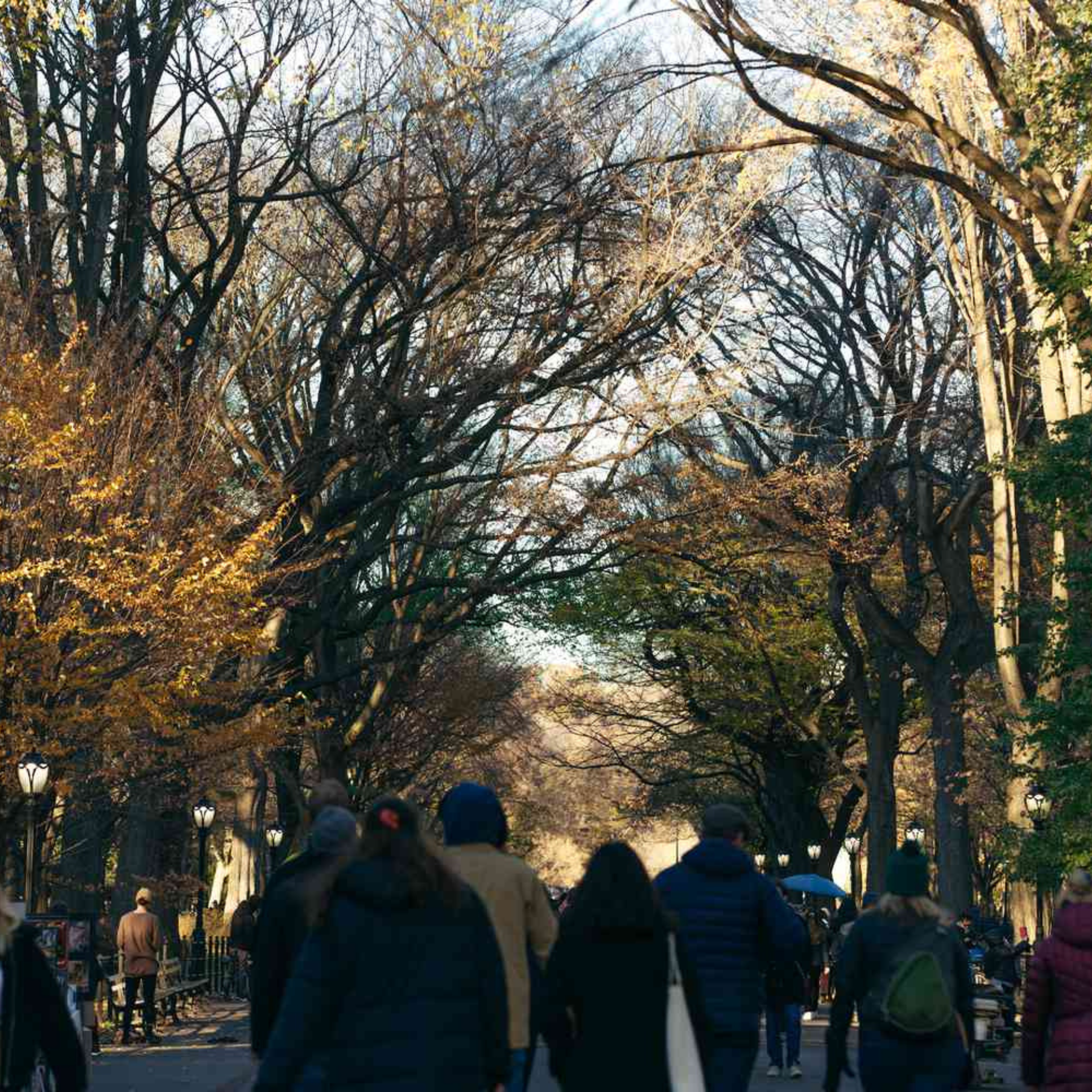 Tree-lined park path in late autumn, with bundled-up walkers under bare branches and golden light filtering through. Peaceful NYC vibe