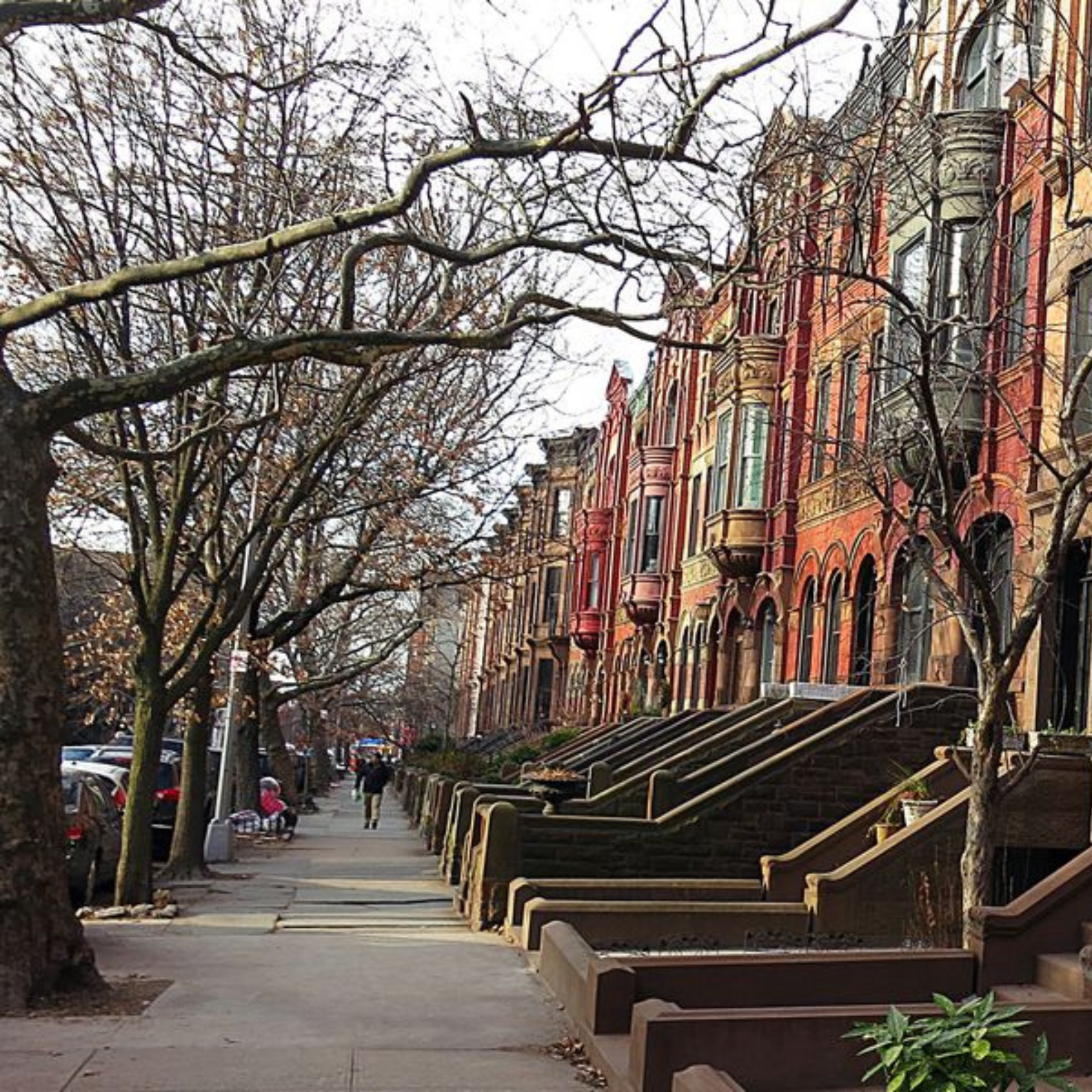 Quiet city street with historic brownstone buildings, leafless trees, and parked cars in winter