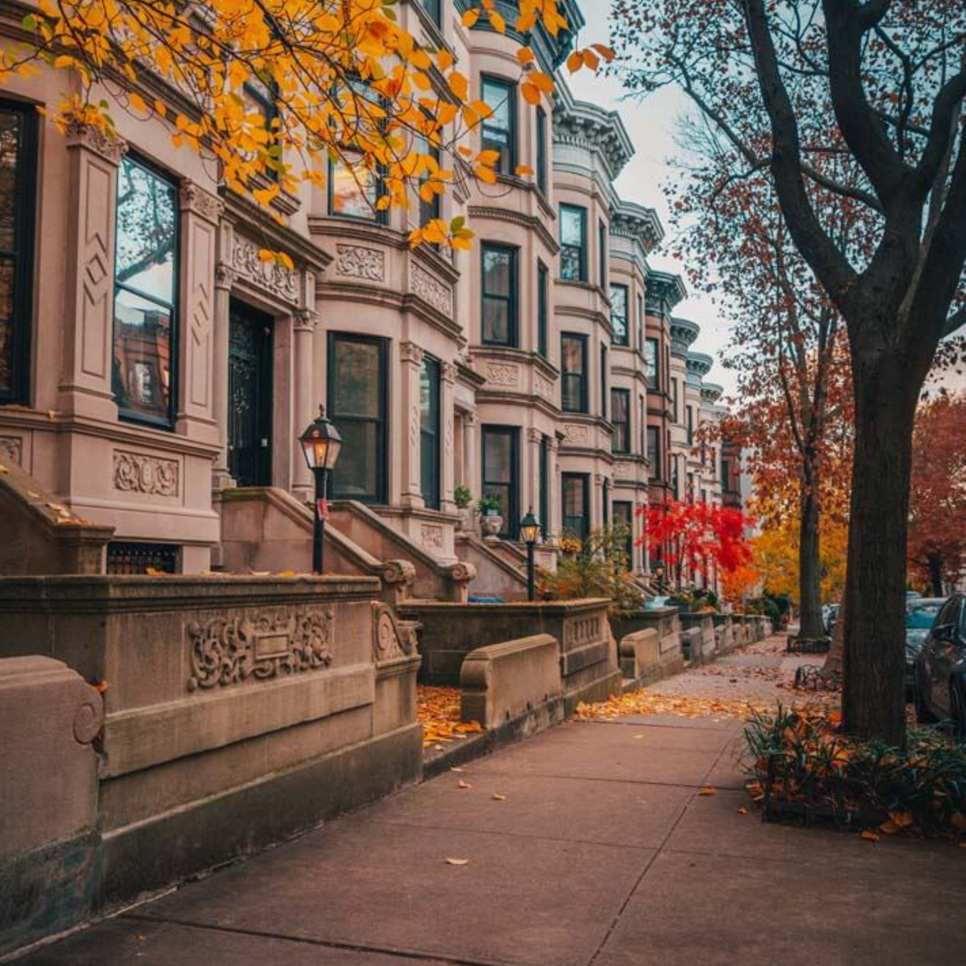 Tree-lined city street with historic brownstones and colorful fall leaves