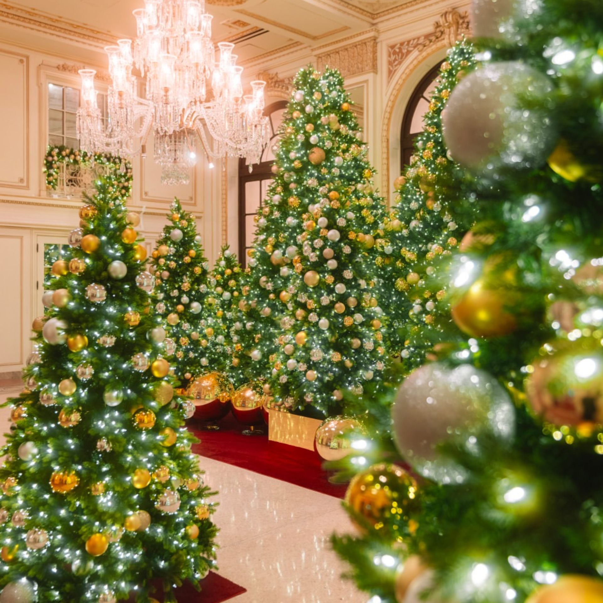 The Plaza Hotel Lobby