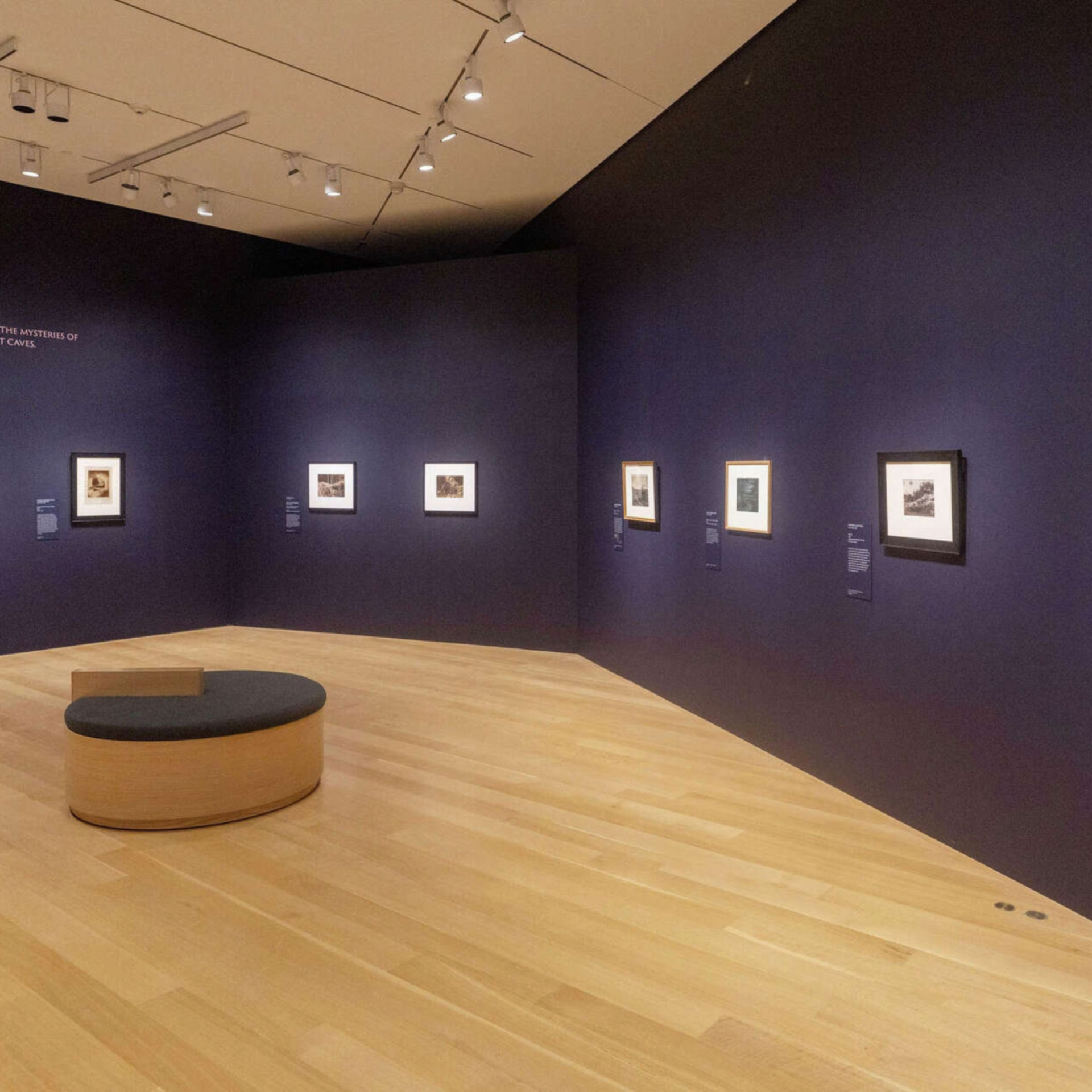 Art gallery with dark blue walls, framed prints, and a central cushioned bench