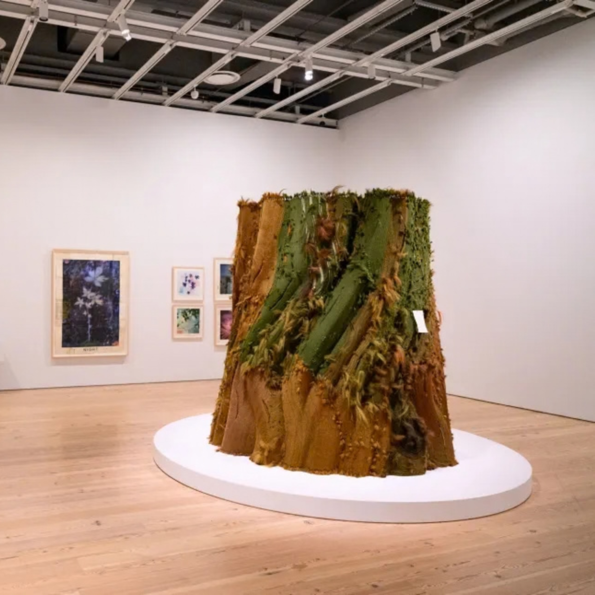 Gallery with textile sculpture resembling tree trunk on circular platform, surrounded by framed botanical artworks