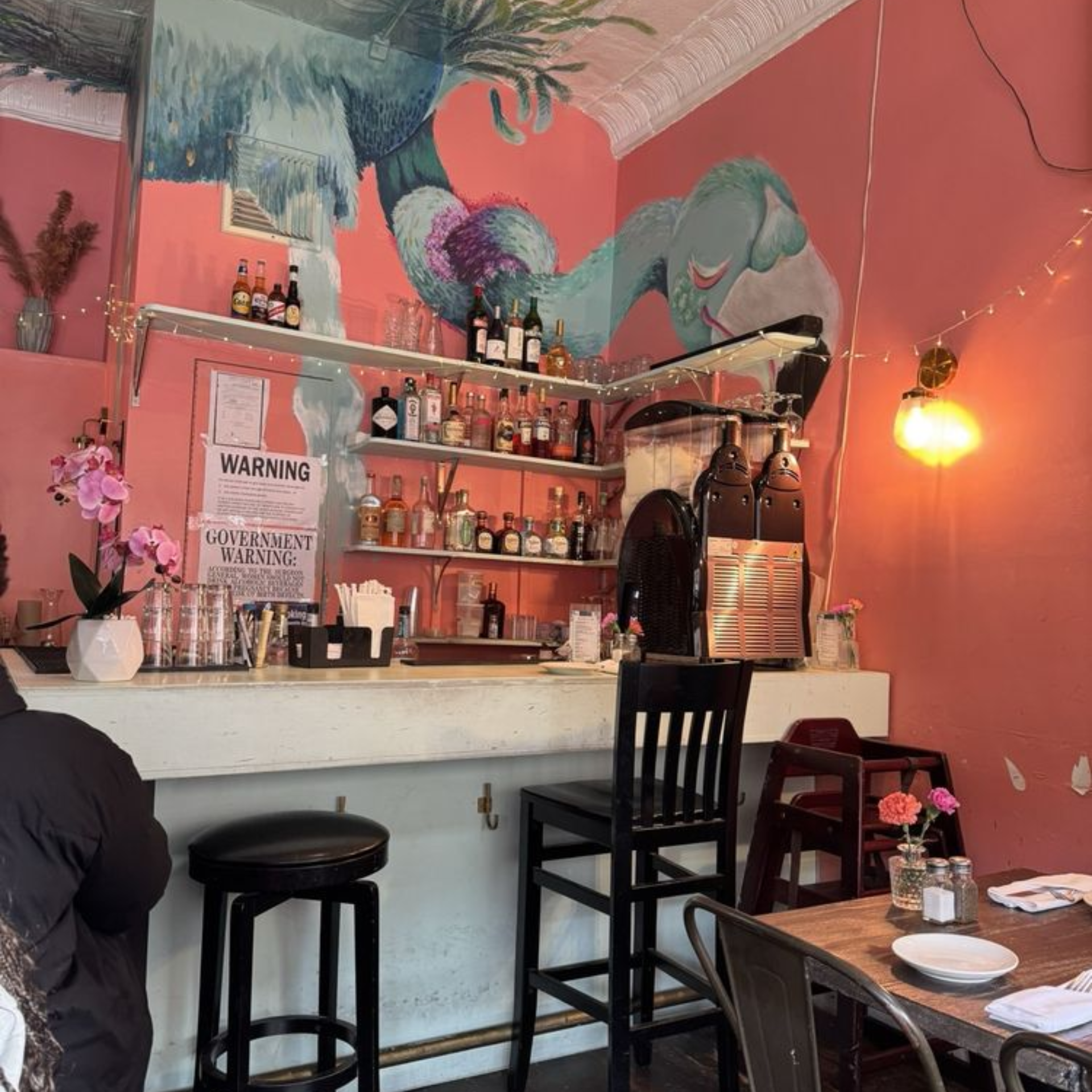Cozy café interior with coral walls, bird mural, stocked bar, and warm decorative lighting