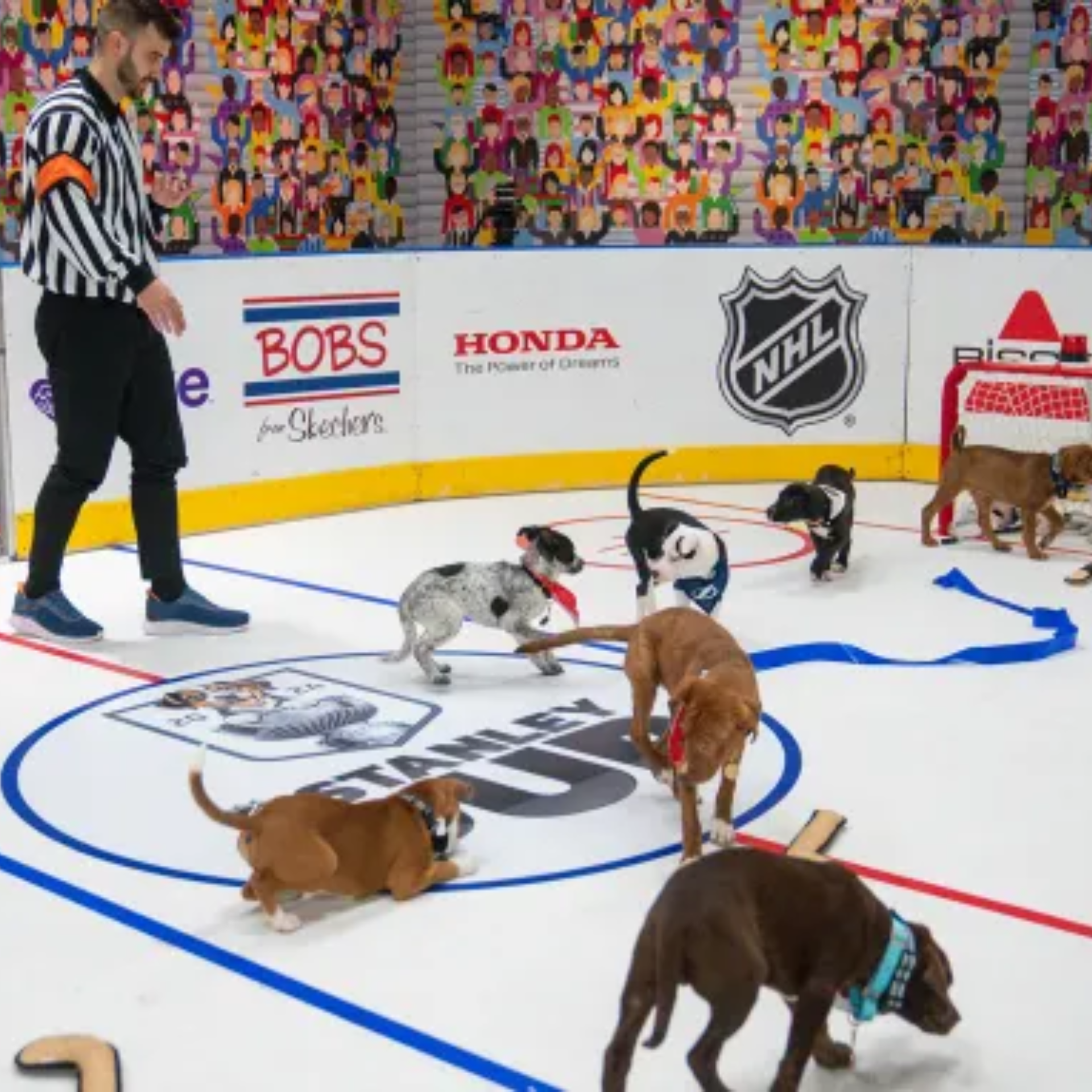 An ice hockey referee watches a group of energetic puppies playing on a miniature ice rink during the "Stanley Pup" event, featuring rink-side advertisements for BOBS from Skechers, Honda, and the NHL shield logo against a colorful illustrated crowd background