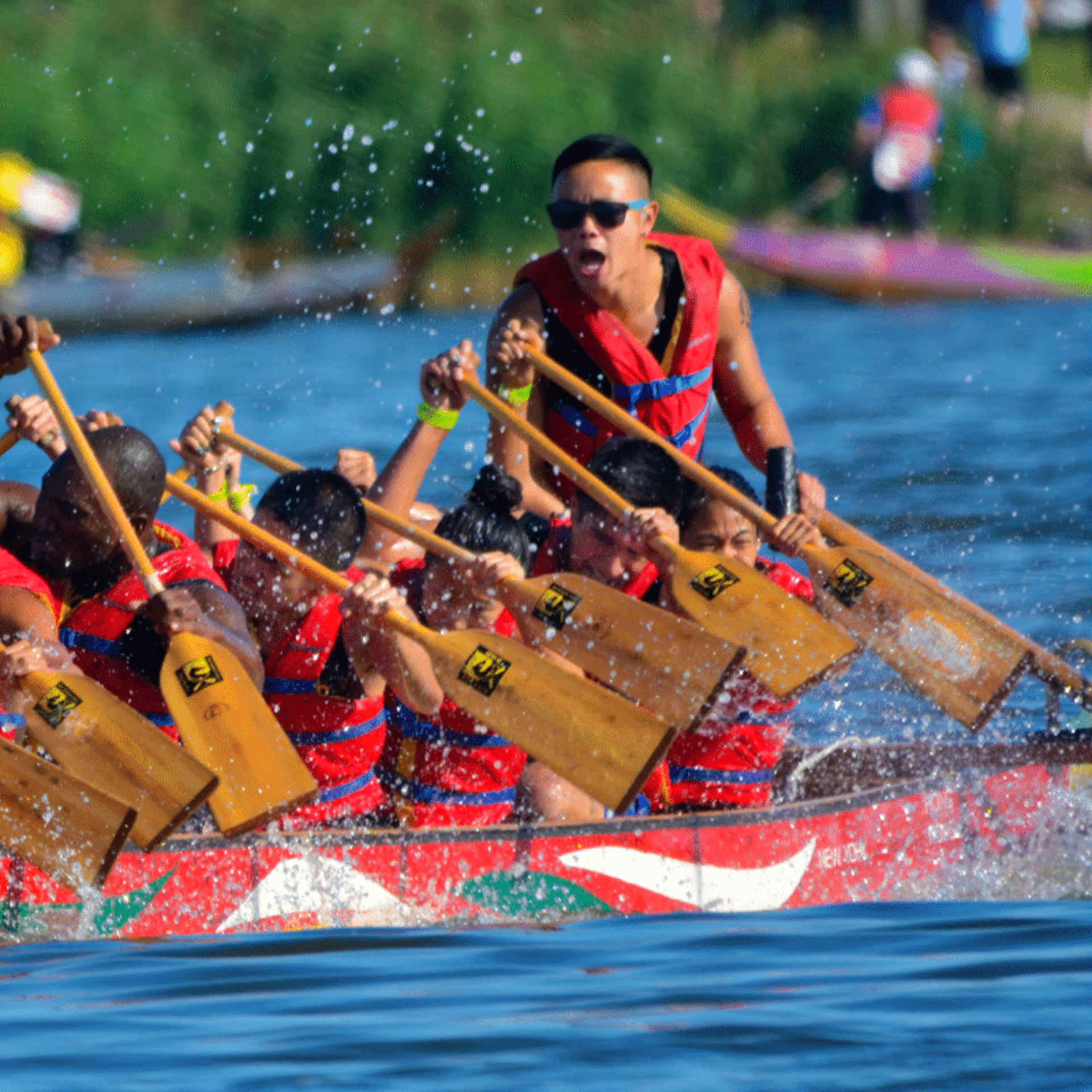 NYC dragon boat race team paddling in unison with splashes on water, intense teamwork and cultural sport featured in daily things to do in NYC any day