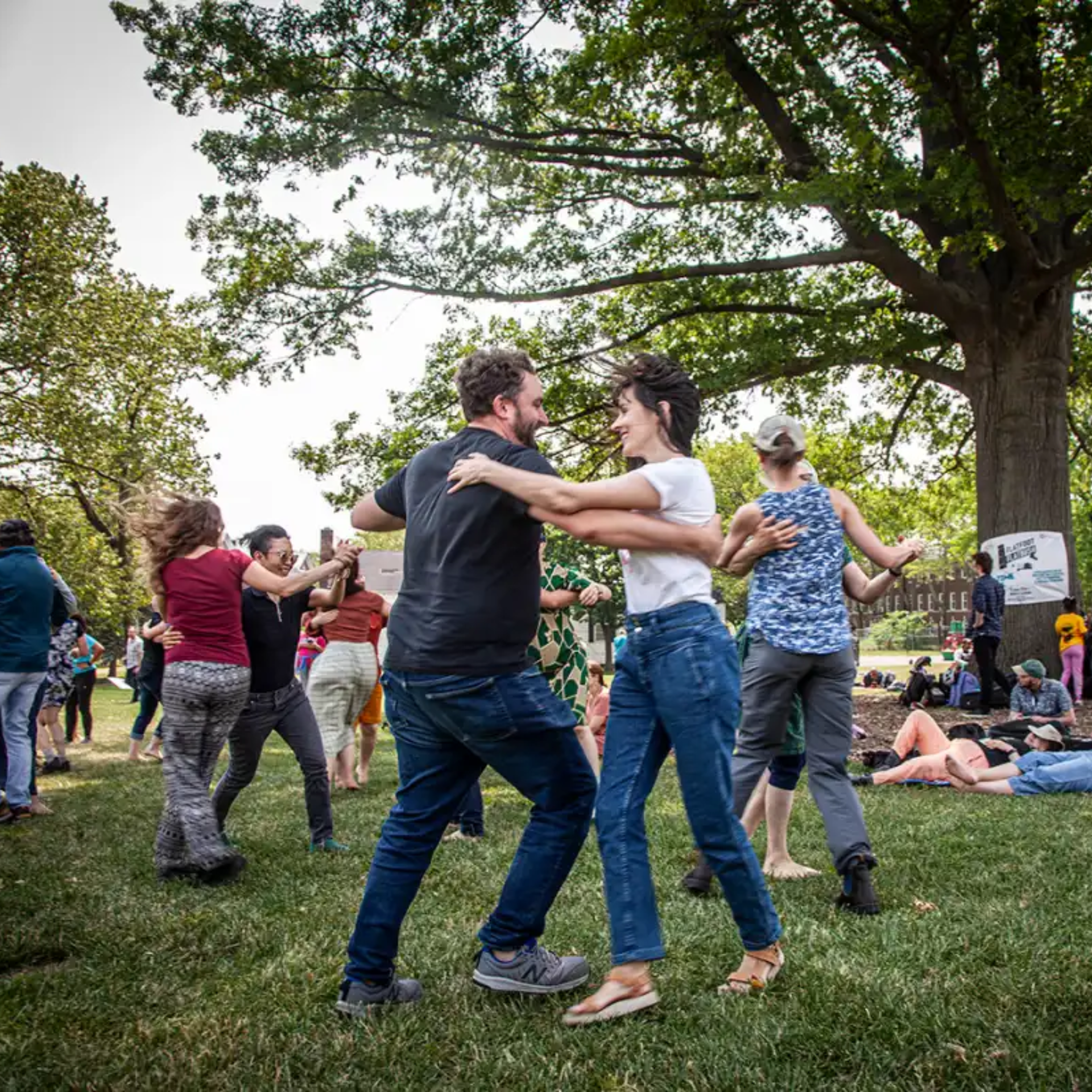 Groups dancing outdoors on grassy NYC park surrounded by trees, lively community recreation and social event featured in daily things to do in NYC any day