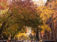 NYC Labor Day autumn street with cars parked under canopy of yellow, orange, and red foliage beside brick buildings, seasonal neighborhood walk featured in Things to Do in NYC This September: 24 Free & Ticketed Events and daily things to do in NYC any day