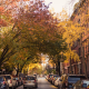 NYC Labor Day autumn street with cars parked under canopy of yellow, orange, and red foliage beside brick buildings, seasonal neighborhood walk featured in Things to Do in NYC This September: 24 Free & Ticketed Events and daily things to do in NYC any day