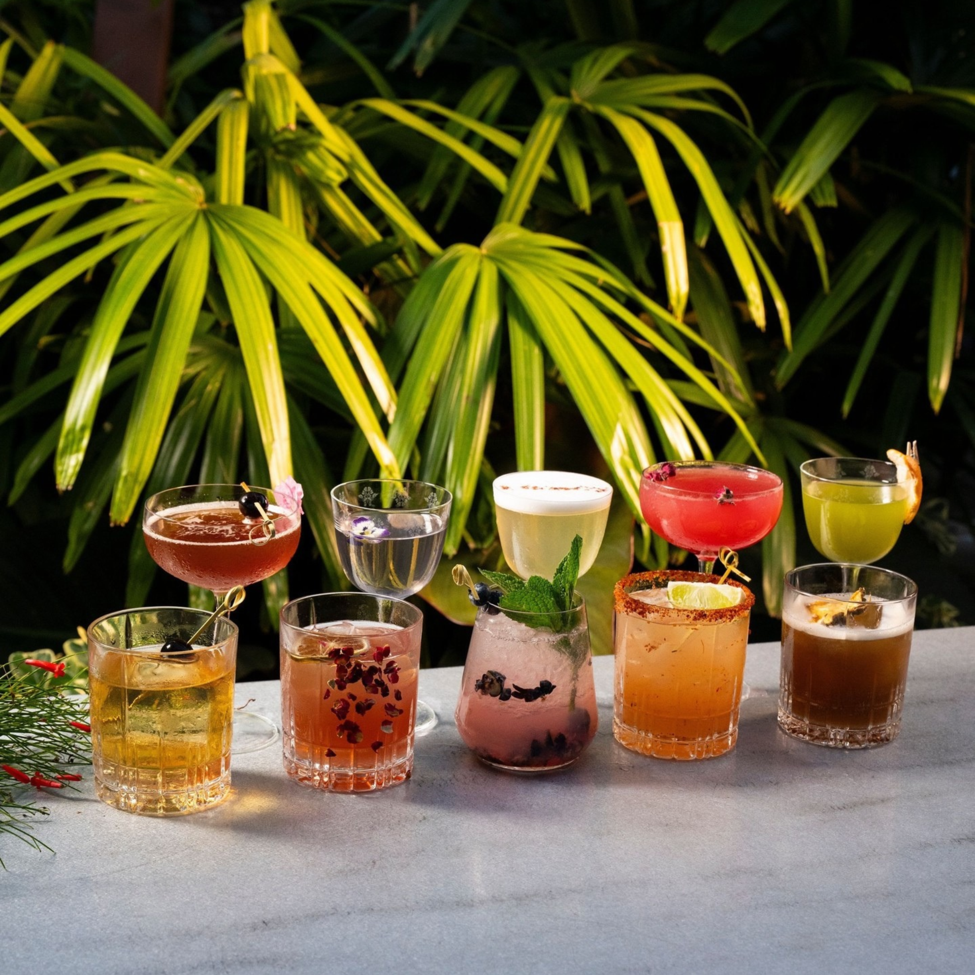 Nine colorful cocktails arranged with tropical plant backdrop